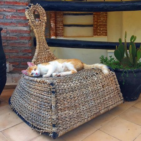 Riad Nejma Lounge Marrakesh Luaran gambar
