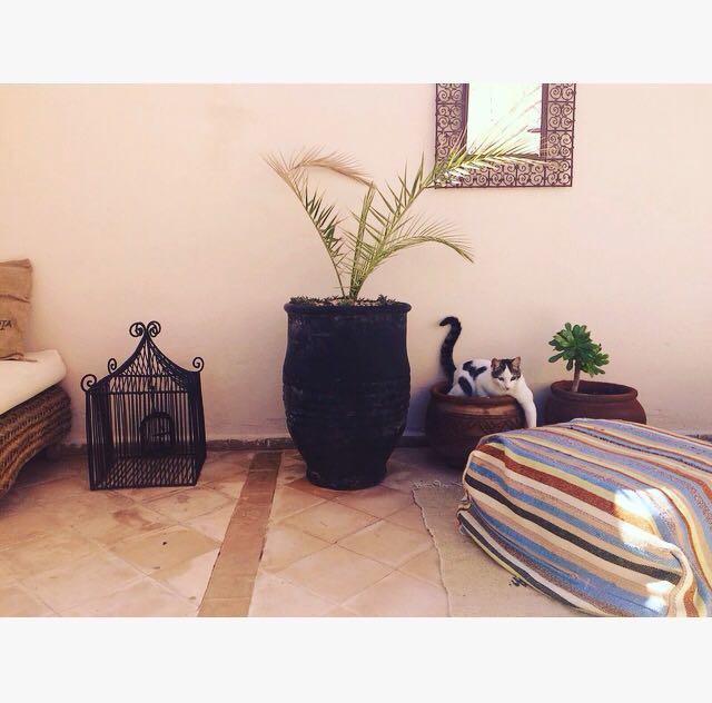 Riad Nejma Lounge Marrakesh Luaran gambar