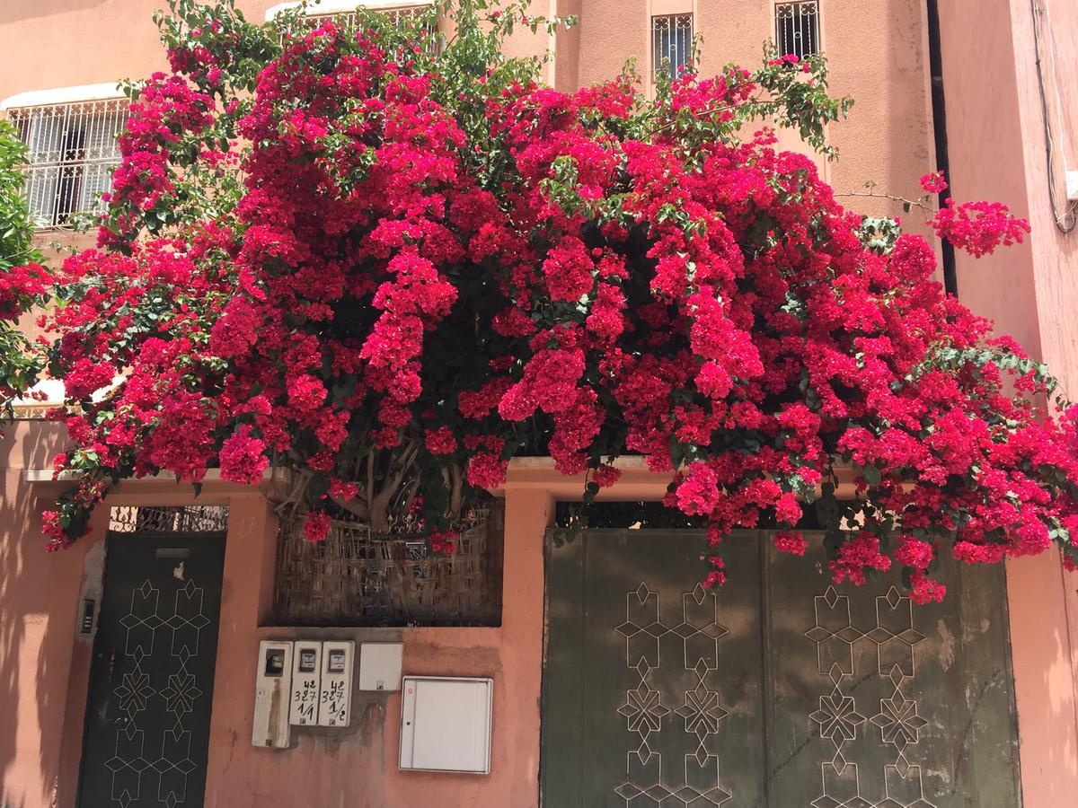 Riad Nejma Lounge Marrakesh Luaran gambar