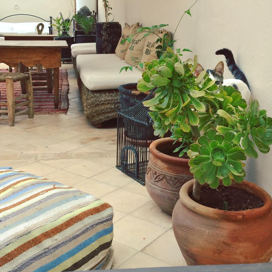 Riad Nejma Lounge Marrakesh Luaran gambar